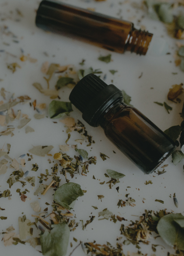 Clinical nutritionist Lifestyle consultation